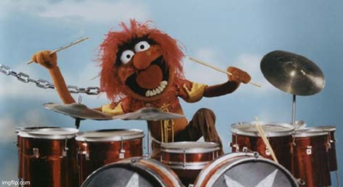 Animal on Drums | image tagged in animal on drums | made w/ Imgflip meme maker