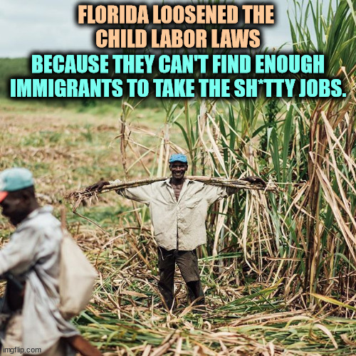 Family values, folks. | FLORIDA LOOSENED THE 
CHILD LABOR LAWS; BECAUSE THEY CAN'T FIND ENOUGH IMMIGRANTS TO TAKE THE SH*TTY JOBS. | image tagged in florida,child labor,immigrants,jobs,family values | made w/ Imgflip meme maker