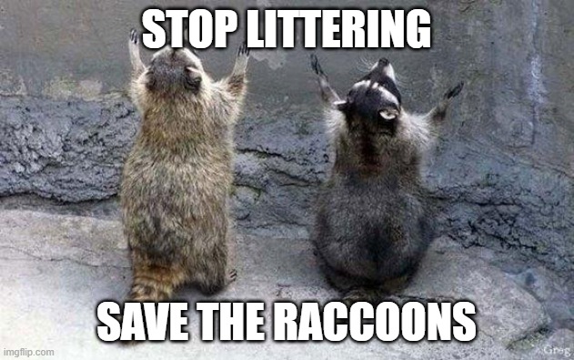 Raccoon Worshipping | STOP LITTERING; SAVE THE RACCOONS | image tagged in raccoon worshipping | made w/ Imgflip meme maker