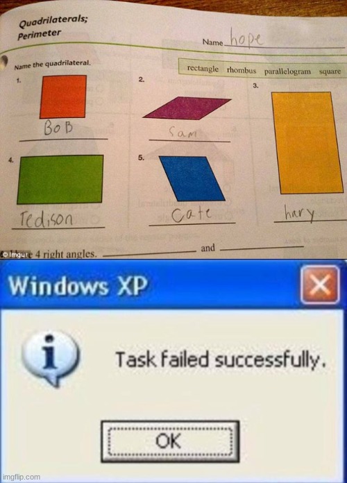 When I was in 3rd grade, I wish I could've done this too | image tagged in task failed successfully,funny kid testing,memes,funny | made w/ Imgflip meme maker