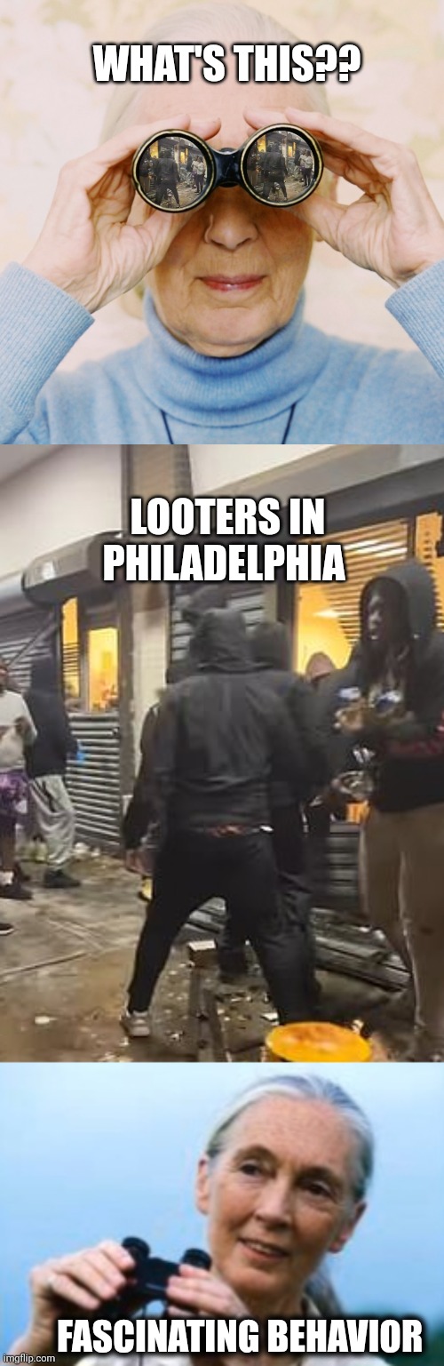Observation skills | WHAT'S THIS?? LOOTERS IN PHILADELPHIA; FASCINATING BEHAVIOR | image tagged in looters,looting,philly,philadelphia,crime,black lives matter | made w/ Imgflip meme maker