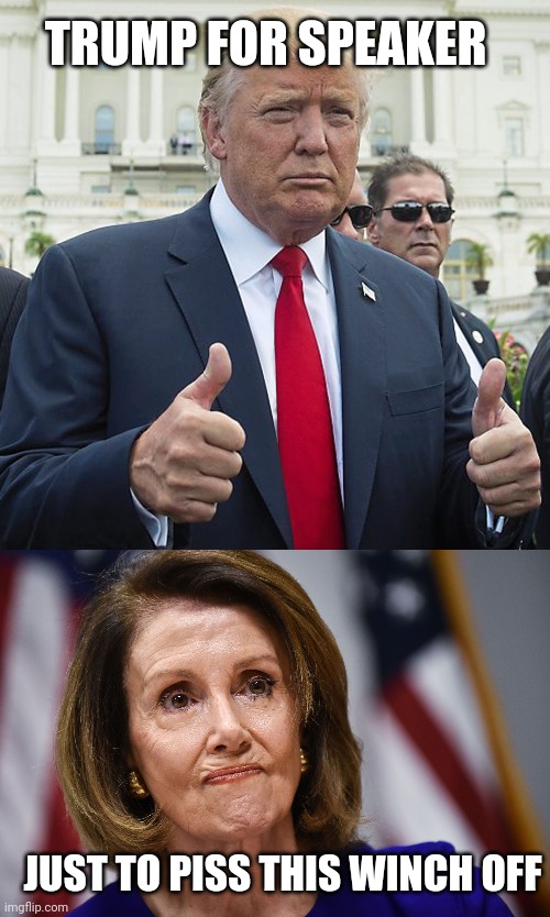 That would be excellent | TRUMP FOR SPEAKER; JUST TO PISS THIS WINCH OFF | image tagged in donald trump,speaker,nancy pelosi | made w/ Imgflip meme maker