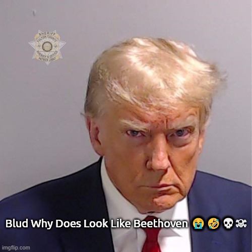Blud Got That Beethoven Stare | Blud Why Does Look Like Beethoven 😭🤣💀☠ | image tagged in trump stare,beethoven,funny | made w/ Imgflip meme maker