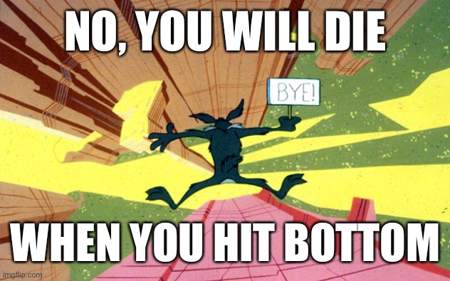 Wile E Coyote falling off of cliff | NO, YOU WILL DIE WHEN YOU HIT BOTTOM | image tagged in wile e coyote falling off of cliff | made w/ Imgflip meme maker