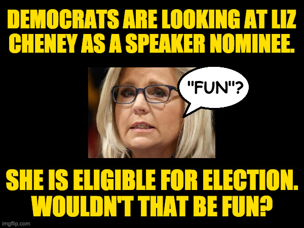 Given that a Dem won't be elected, this seems like a way through if she'll have it. | DEMOCRATS ARE LOOKING AT LIZ
CHENEY AS A SPEAKER NOMINEE. "FUN"? SHE IS ELIGIBLE FOR ELECTION.
WOULDN'T THAT BE FUN? | image tagged in memes,liz for speaker,this is what happens,when you don't think ahead,matt,party smarter | made w/ Imgflip meme maker