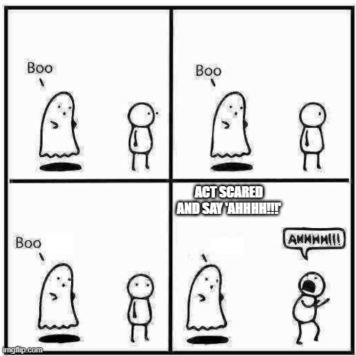 Boo | ACT SCARED AND SAY 'AHHHH!!!' | image tagged in ghost boo | made w/ Imgflip meme maker