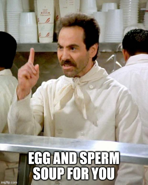 soup nazi | EGG AND SPERM SOUP FOR YOU | image tagged in soup nazi | made w/ Imgflip meme maker