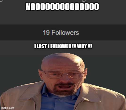 why, Why, WHY !!!!!!!!!!!!!!!!!!!!!!!! | NOOOOOOOOOOOOOO; I LOST 1 FOLLOWER !!! WHY !!! | image tagged in i lost 1 follower,noooooooooooooooooooooooo | made w/ Imgflip meme maker