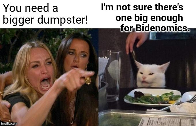 Woman Yelling At Cat | image tagged in memes,politics,joe biden,economy,dumpster,not sure if | made w/ Imgflip meme maker