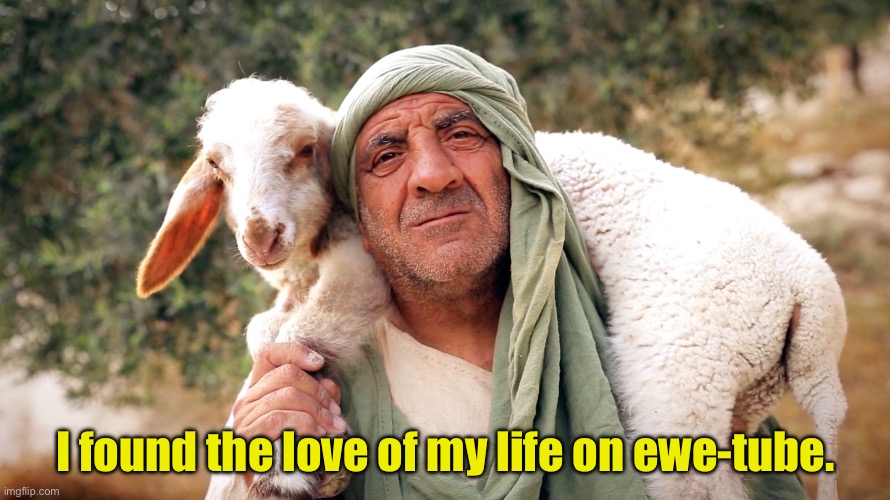 Online dating | I found the love of my life on ewe-tube. | image tagged in bad pun | made w/ Imgflip meme maker