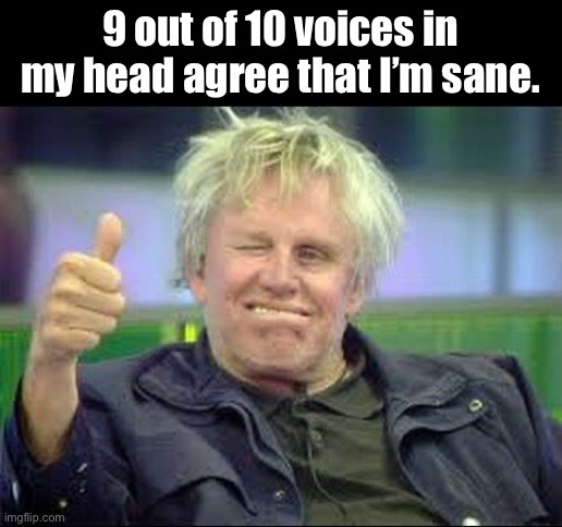 The vote is in | 9 out of 10 voices in my head agree that I’m sane. | image tagged in gary busey approves | made w/ Imgflip meme maker
