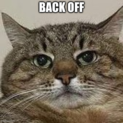 Back off | BACK OFF | image tagged in stepan cat | made w/ Imgflip meme maker