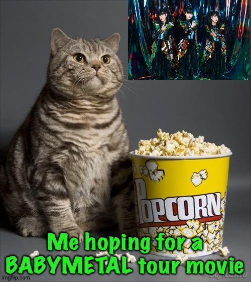 Taylor's tour movie is coming out soon, so why not BABYMETAL? | Me hoping for a BABYMETAL tour movie | image tagged in cat eating popcorn,babymetal | made w/ Imgflip meme maker