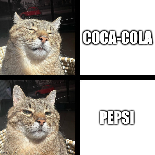 Soda | COCA-COLA; PEPSI | image tagged in stepan cat,soda | made w/ Imgflip meme maker
