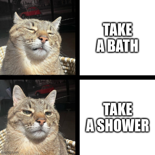 Bath vs Shower | TAKE A BATH; TAKE A SHOWER | image tagged in stepan cat,bath,shower | made w/ Imgflip meme maker