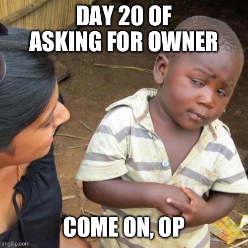 I meant to say day 10 | DAY 20 OF ASKING FOR OWNER; COME ON, OP | image tagged in memes,third world skeptical kid | made w/ Imgflip meme maker