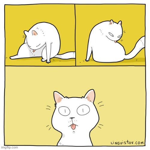 A Cat's Way Of Thinking | image tagged in memes,comics/cartoons,cats,clean up,tongue,hanging out | made w/ Imgflip meme maker