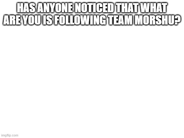 (ScaryRedPanda note: yes, I did. And he follows it just to counterpost team morshu posts with some random cringe. But don't worr | HAS ANYONE NOTICED THAT WHAT ARE YOU IS FOLLOWING TEAM MORSHU? | made w/ Imgflip meme maker