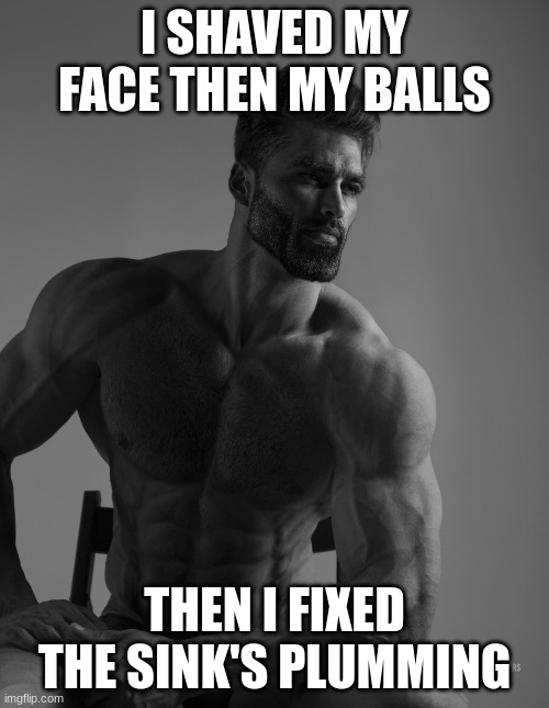 Giga Chad | I SHAVED MY FACE THEN MY BALLS; THEN I FIXED THE SINK'S PLUMMING | image tagged in giga chad | made w/ Imgflip meme maker