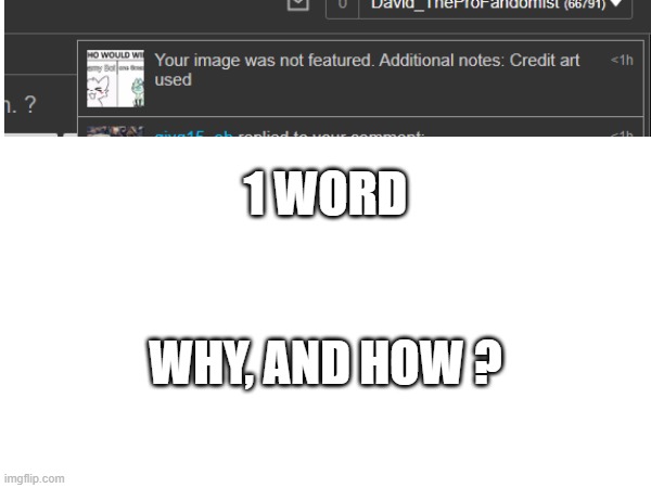 WHY. | WHY, AND HOW ? 1 WORD | image tagged in why,just why | made w/ Imgflip meme maker