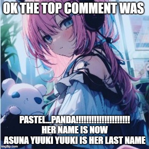 OK THE TOP COMMENT WAS; PASTEL...PANDA!!!!!!!!!!!!!!!!!!!!! HER NAME IS NOW ASUNA YUUKI YUUKI IS HER LAST NAME | made w/ Imgflip meme maker