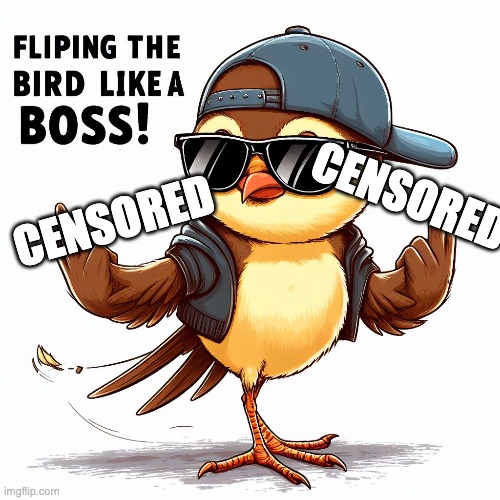 Flipping the bird. | CENSORED; CENSORED | image tagged in flipping the bird | made w/ Imgflip meme maker
