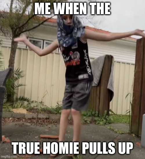 Homies Official ? | ME WHEN THE; TRUE HOMIE PULLS UP | image tagged in homies official,goofy | made w/ Imgflip meme maker