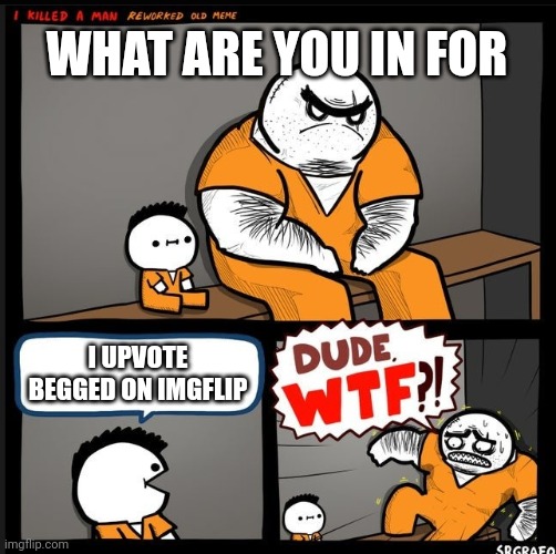 Srgrafo dude wtf | WHAT ARE YOU IN FOR; I UPVOTE BEGGED ON IMGFLIP | image tagged in srgrafo dude wtf | made w/ Imgflip meme maker
