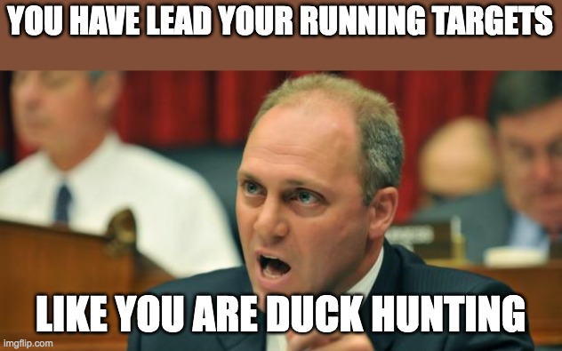 targets | YOU HAVE LEAD YOUR RUNNING TARGETS; LIKE YOU ARE DUCK HUNTING | image tagged in steve scalise,ducks | made w/ Imgflip meme maker