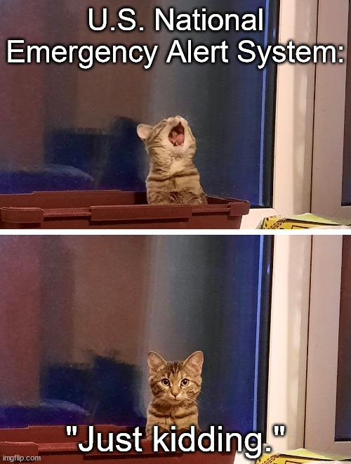 National Emergency Alert System | U.S. National Emergency Alert System:; "Just kidding." | image tagged in emergency,warning,emergency alert,kittens,aww,cute | made w/ Imgflip meme maker
