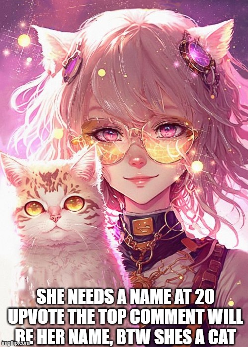 please give her a good name remember top comment at 20 upvotes is her name | SHE NEEDS A NAME AT 20 UPVOTE THE TOP COMMENT WILL BE HER NAME, BTW SHES A CAT | made w/ Imgflip meme maker