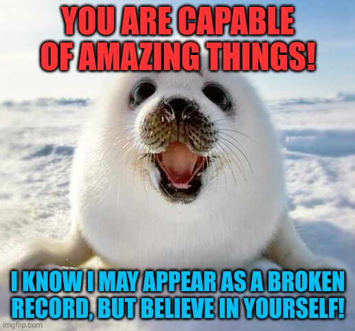 The Happy Seal | YOU ARE CAPABLE OF AMAZING THINGS! I KNOW I MAY APPEAR AS A BROKEN RECORD, BUT BELIEVE IN YOURSELF! | image tagged in the happy seal | made w/ Imgflip meme maker