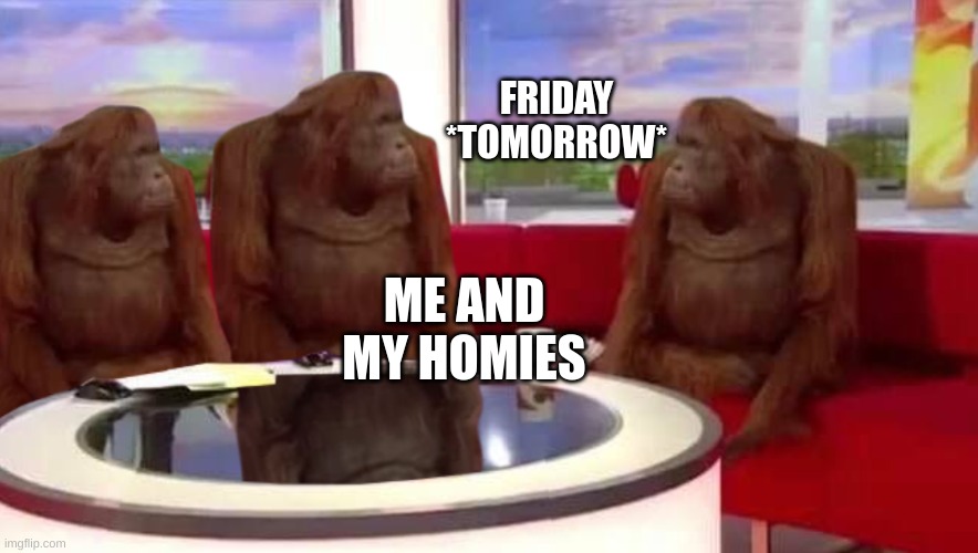where monkey | FRIDAY *TOMORROW*; ME AND MY HOMIES | image tagged in where monkey | made w/ Imgflip meme maker