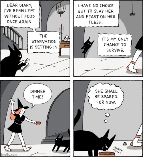 I hope a black cat doesn't do this to me- | made w/ Imgflip meme maker