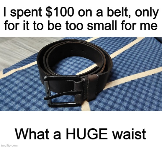 ... | I spent $100 on a belt, only for it to be too small for me; What a HUGE waist | made w/ Imgflip meme maker