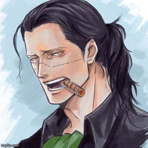 Long hair croc | image tagged in one piece,fanart | made w/ Imgflip meme maker