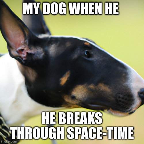 this dog will eat your toes when you sleep | MY DOG WHEN HE; HE BREAKS THROUGH SPACE-TIME | image tagged in goofy ahh dog,ai meme,funny | made w/ Imgflip meme maker
