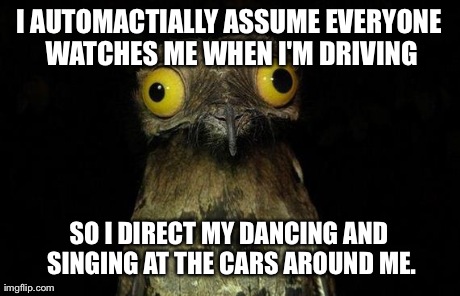 Weird Stuff I Do Potoo Meme | I AUTOMACTIALLY ASSUME EVERYONE WATCHES ME WHEN I'M DRIVING SO I DIRECT MY DANCING AND SINGING AT THE CARS AROUND ME. | image tagged in memes,weird stuff i do potoo,AdviceAnimals | made w/ Imgflip meme maker