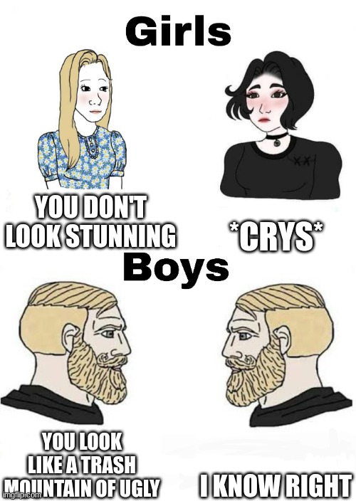 eeee | YOU DON'T LOOK STUNNING; *CRYS*; I KNOW RIGHT; YOU LOOK LIKE A TRASH MOUNTAIN OF UGLY | image tagged in girls vs boys | made w/ Imgflip meme maker