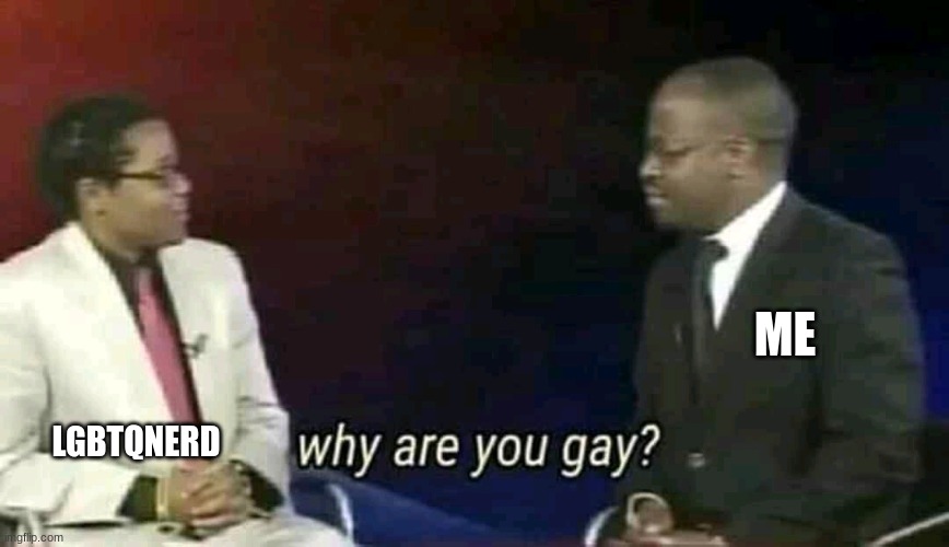 Why are you gay? | ME LGBTQNERD | image tagged in why are you gay | made w/ Imgflip meme maker