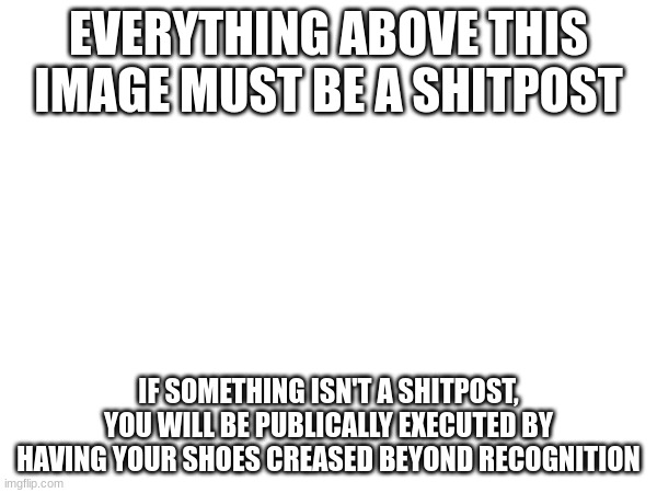I want more shitposts | EVERYTHING ABOVE THIS IMAGE MUST BE A SHITPOST; IF SOMETHING ISN'T A SHITPOST, YOU WILL BE PUBLICALLY EXECUTED BY HAVING YOUR SHOES CREASED BEYOND RECOGNITION | image tagged in shitpost | made w/ Imgflip meme maker