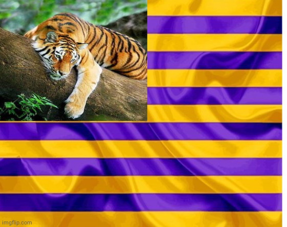 image tagged in goofylazy_tiger flag | made w/ Imgflip meme maker