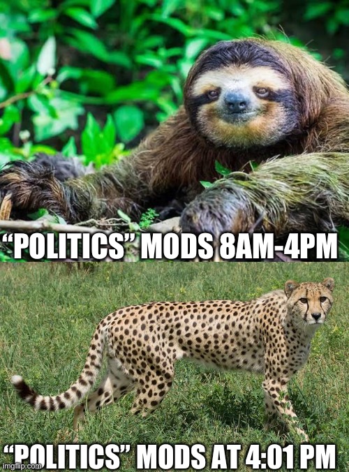Nope | “POLITICS” MODS 8AM-4PM; “POLITICS” MODS AT 4:01 PM | image tagged in imgflip mods | made w/ Imgflip meme maker