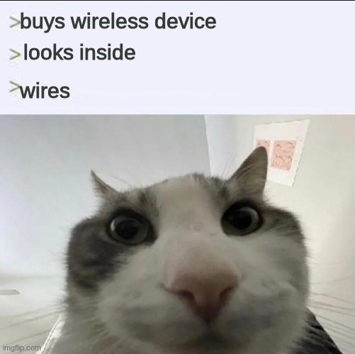 Wireless device contains wires | buys wireless device; looks inside; wires | image tagged in cat looks inside | made w/ Imgflip meme maker