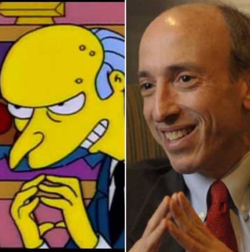 Gary Gensler Blank Meme Template