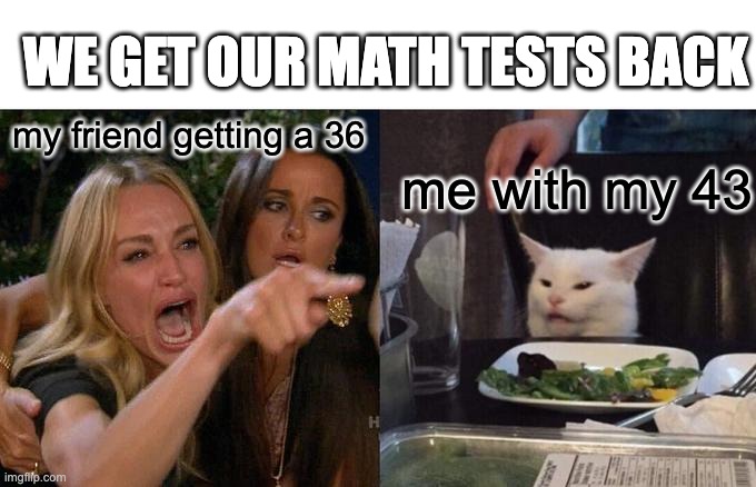 Woman Yelling At Cat Meme | WE GET OUR MATH TESTS BACK; my friend getting a 36; me with my 43 | image tagged in memes,woman yelling at cat | made w/ Imgflip meme maker