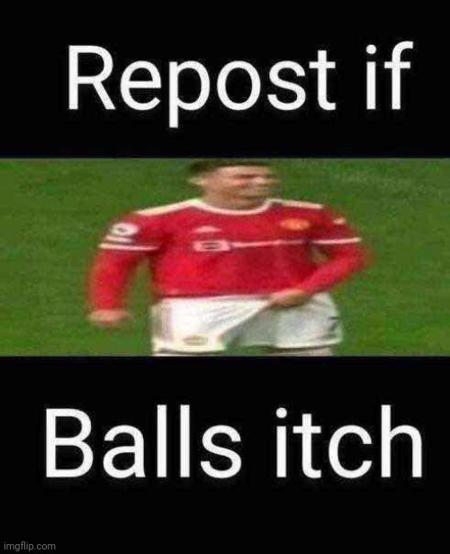Reposted | image tagged in balls | made w/ Imgflip meme maker