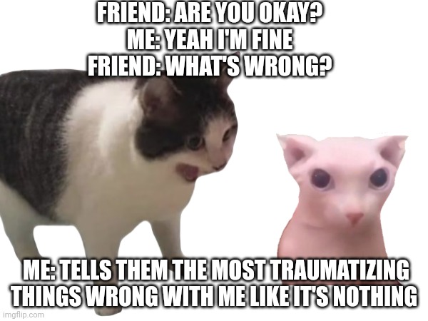 I think they're more traumatized now | FRIEND: ARE YOU OKAY?
ME: YEAH I'M FINE
FRIEND: WHAT'S WRONG? ME: TELLS THEM THE MOST TRAUMATIZING THINGS WRONG WITH ME LIKE IT'S NOTHING | image tagged in cats,funny,reality | made w/ Imgflip meme maker