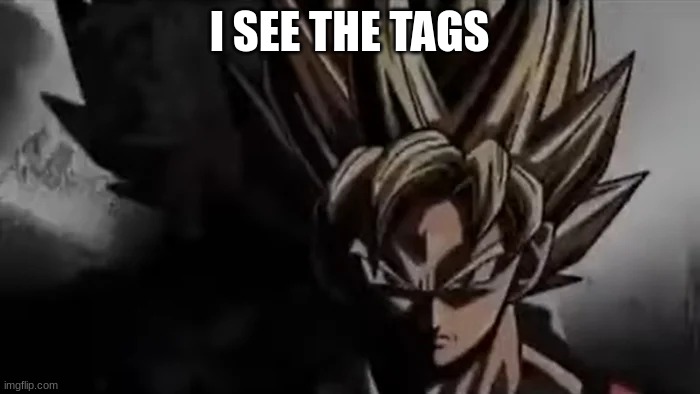 Goku Staring | I SEE THE TAGS | image tagged in goku staring | made w/ Imgflip meme maker
