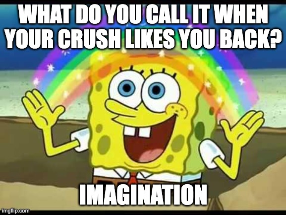 the tragic truth | WHAT DO YOU CALL IT WHEN YOUR CRUSH LIKES YOU BACK? IMAGINATION | image tagged in spongebob imagination | made w/ Imgflip meme maker